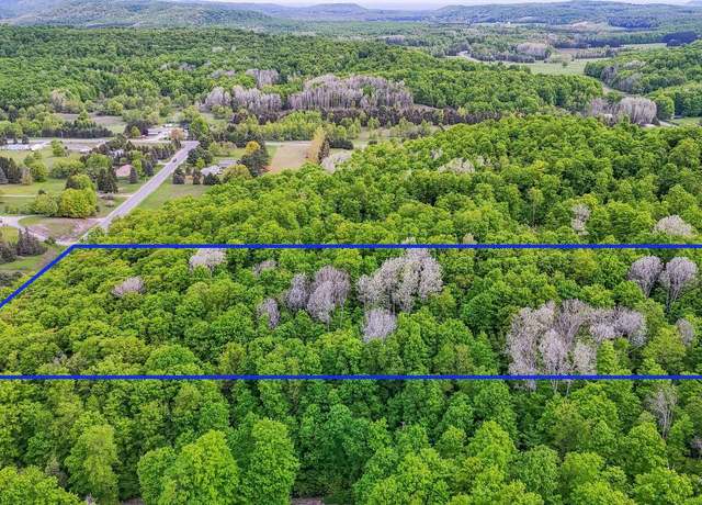 Property at V/L S Coleman Rd, Maple City, MI 49664
