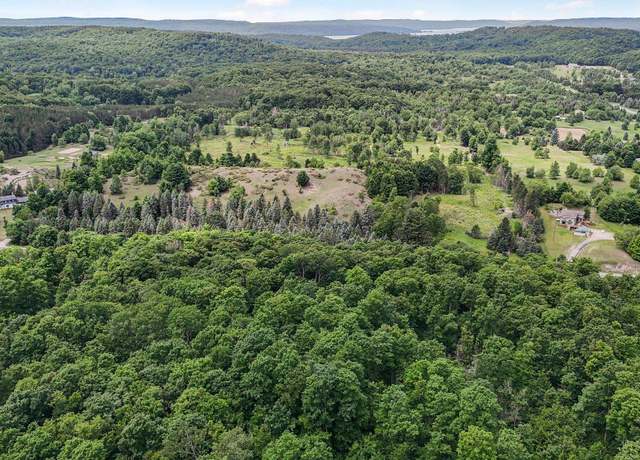 Property at V/L S Coleman Rd, Kasson Township, MI 49664