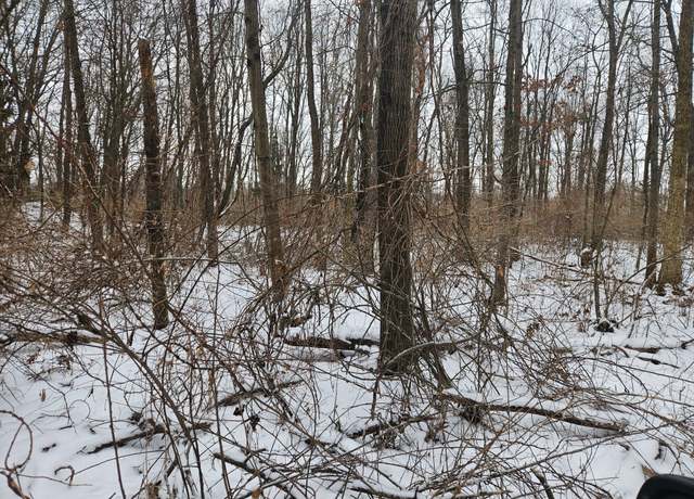 Property at 4433 Brighton Parcel D Rd, Genoa Twp, MI 48843