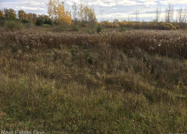 Property at 02 Single Tree Cir, Dryden Township, MI 48428