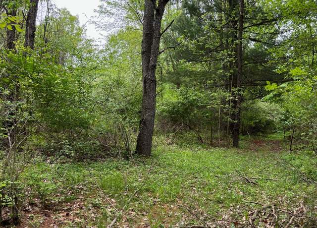 Property at Lake George Lake George Rd. Rd S, Attica, MI 48412
