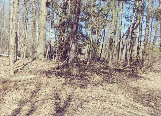 Property at 0 Schott Rd, Harbor Beach, MI 48441