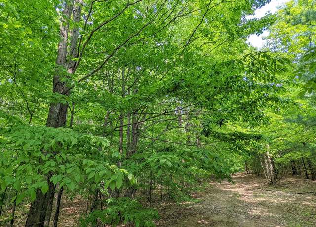 Property at 00 Stark Rd, Mancelona, MI 49659