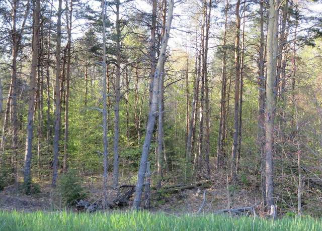 Property at 25 Hollowbrook Dr, Kingsley, MI 49649