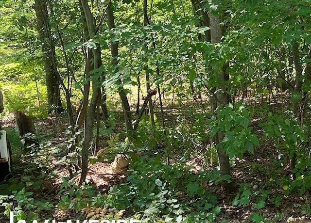 Property at 0 Marys Rd, Caseville, MI 48725