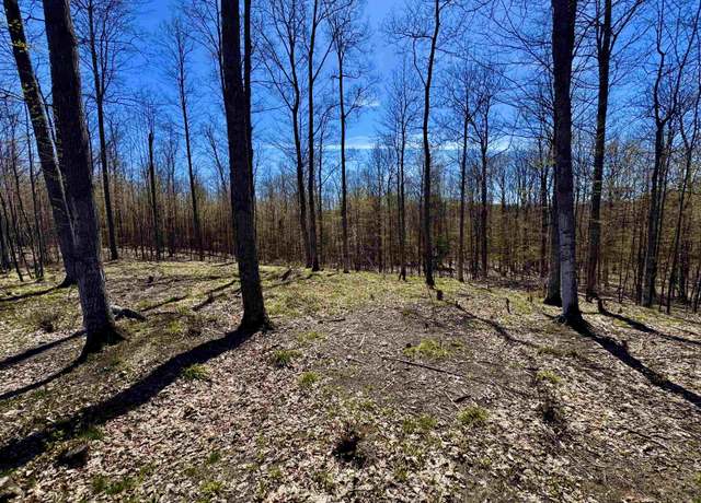 Property at 1913 & 1919 N Blue Water Ct, Suttons Bay, MI 49682