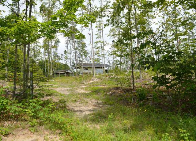 Property at Hardwood, Elmira, MI 49730