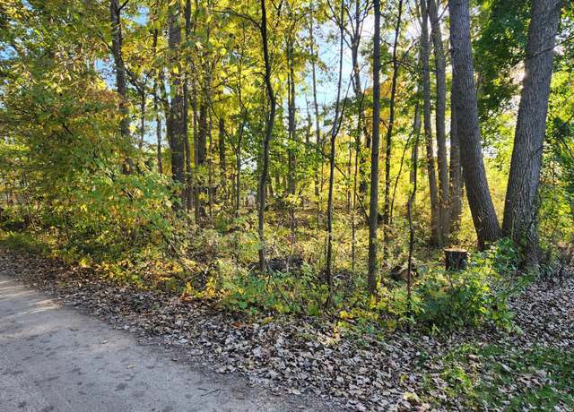 Property at 0000 Van Horn Dr, Pinckney, MI 48169