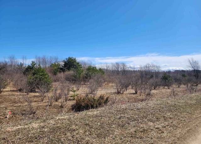 Property at Dungannon Ln, Ellsworth, MI 49729