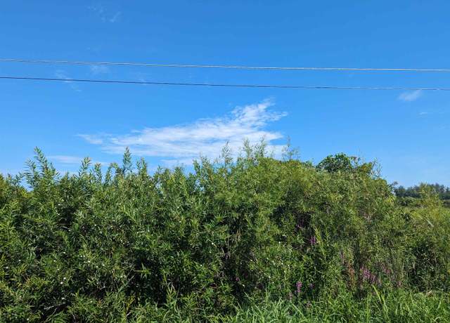Property at 0 S Court St, Au Gres Township Arenac, MI 48703