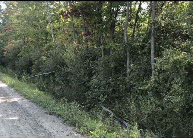 Property at 0 Nolan Rd, Goodells, MI 48027