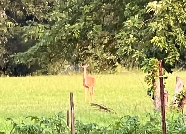 Property at VACANT LAND Judd RD Rd, New Boston, MI 48164