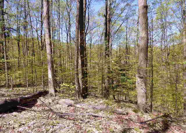 Property at Parcel B Broken Arrow, Bellaire, MI 49615