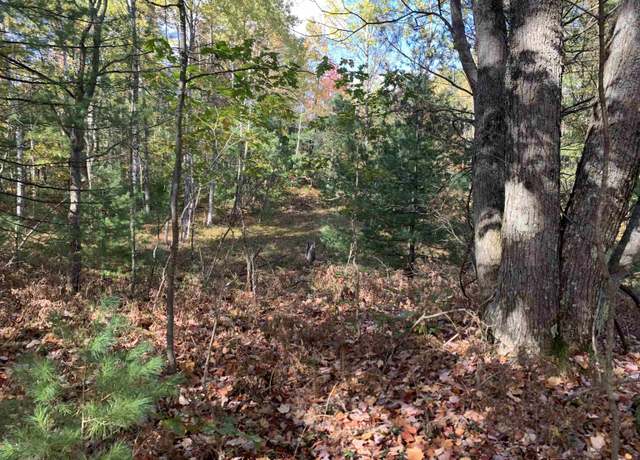 Property at VL Forest Dr, Cadillac, MI 49601