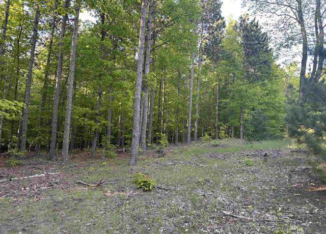 Property at Parcel 8 Karnes Rd, Glen Arbor, MI 49636