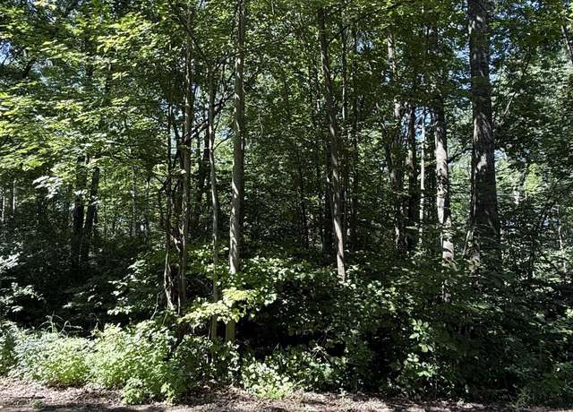 Property at 4477 E Forest Rd, Frost Township, MI 48625