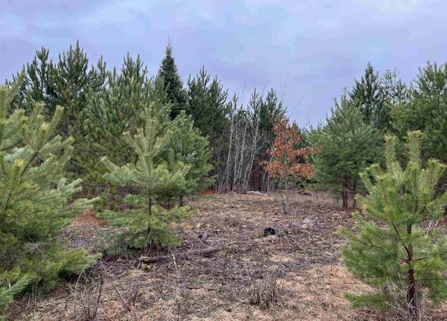 Property at 10299 Levi Ln, Kingsley, MI 49649