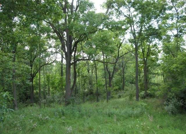 Property at 4226 Creeks Edge Dr, Metamora, MI 48455