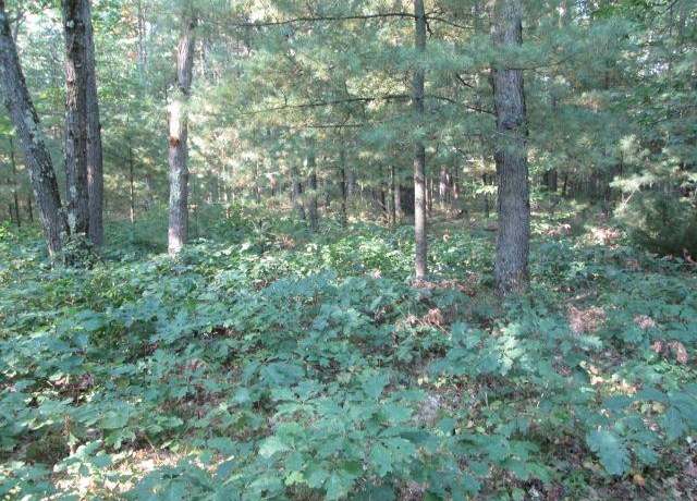 Property at Lot 137&138 Tabor Ave, Interlochen, MI 49643