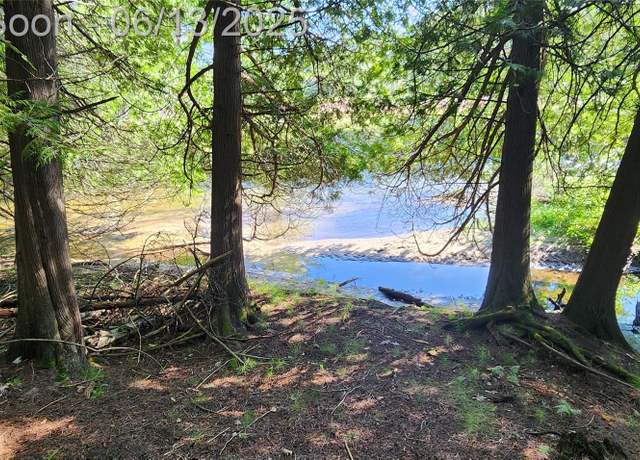 Property at 7397 Tammy Dr, Wolverine, MI 49749