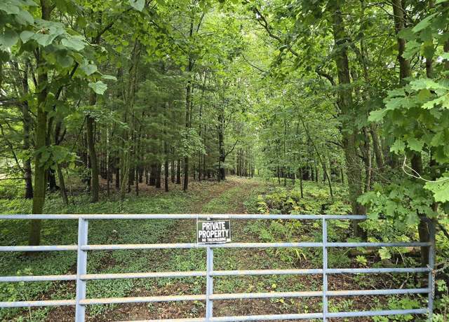 Property at vl Lehring Rd Rd, Burns, MI 48429