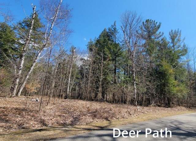 Property at 3 Deer Path, Bellaire, MI 49615