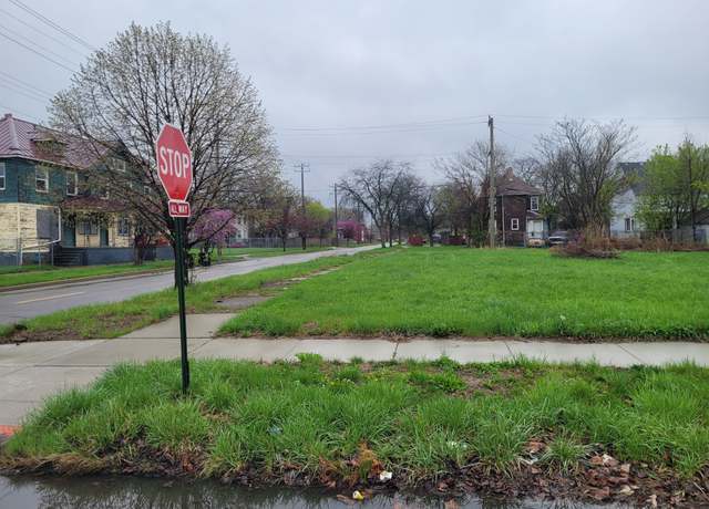 Property at 456 E Euclid St, Detroit, MI 48202