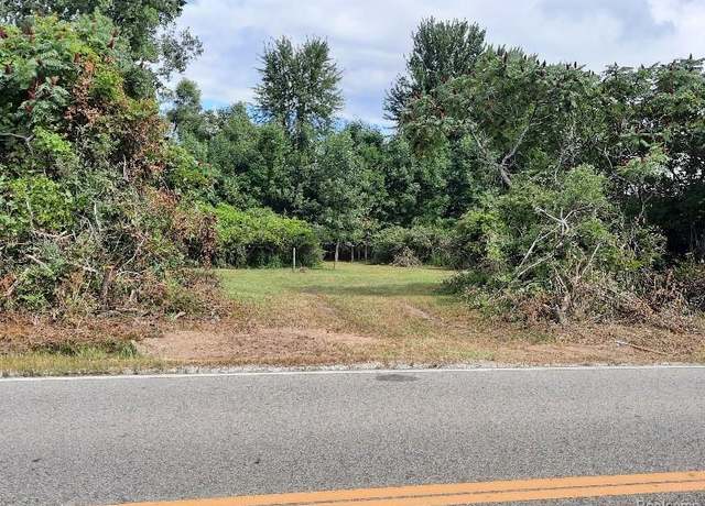Property at 00 Hayner Rd, Conway Township, MI 48836