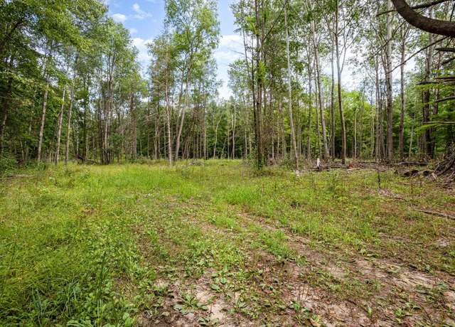 Property at TBD E Klees Rd, Ferris Township, MI 48818