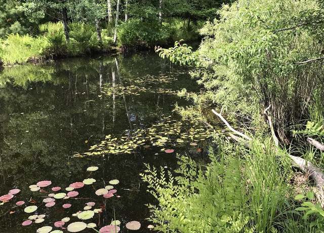 Property at 00 W Deborah Ann Trl, Empire, MI 49630