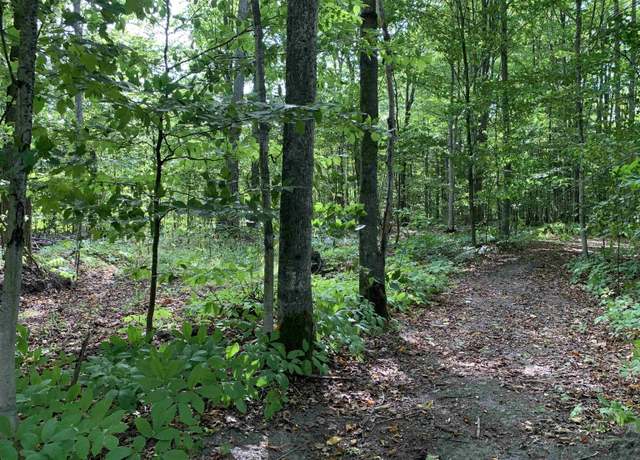 Property at 00 Keiser Rd, Levering, MI 49755