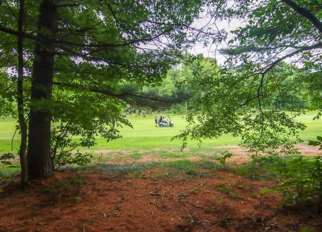 Property at 000-Unit 35 Trailside Circle North, Thompsonville, MI 49683