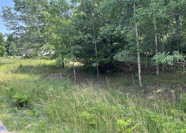 Property at Lot 73 Hilltop Dr, Rapid City, MI 49676