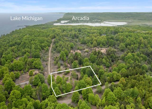 Property at 15380 Lake Bluff Dr, Arcadia, MI 49613