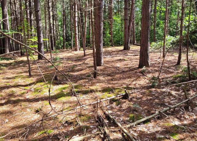 Property at 00 Lakola Rd, Ellsworth Township, MI 49655