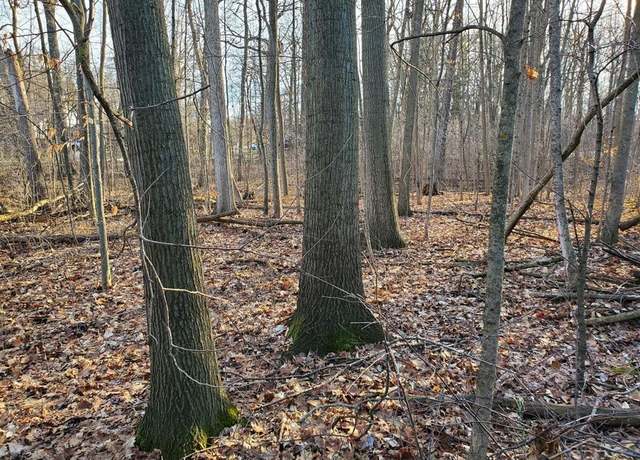 Property at Arboretum Dr, Saginaw, MI 48638