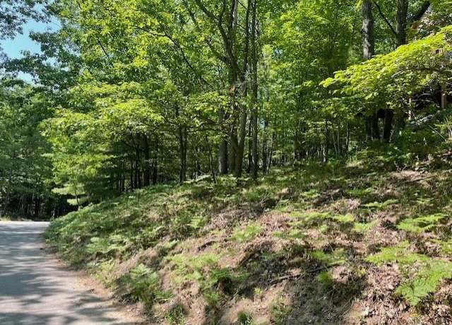 Property at 17 Loggers Run Subdivision, Glen Arbor, MI 49636