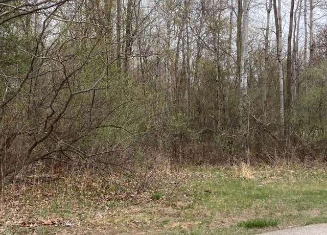 Property at 0 Birch Dr, Fraser Township, MI 48650