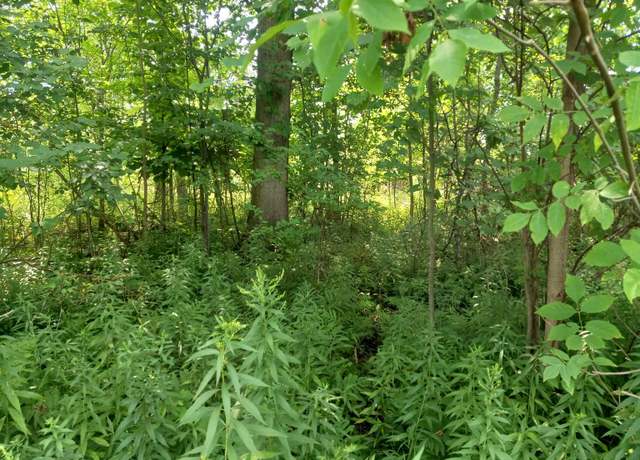 Property at NA E Huron Rd, Au Gres, MI 48703