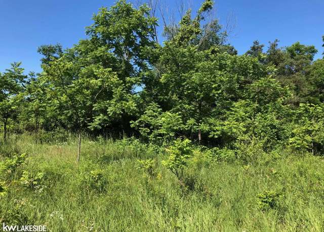 Property at Vacant 31 Mile Rd Rd, Washington, MI 48095