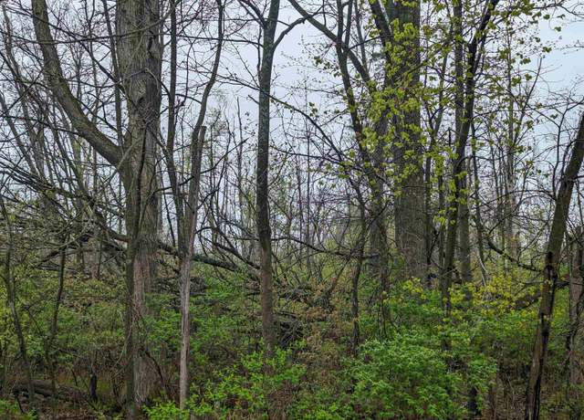 Property at N/A Carrington St, Omer, MI 48749