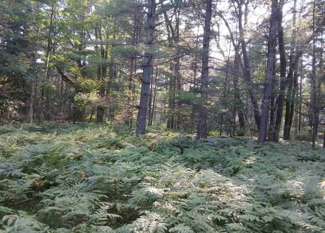 Property at V/L Lorenz Rd, Tawas City, MI 48763