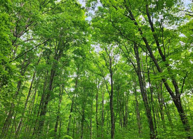 Property at VL Wildwood, Mancelona, MI 49659