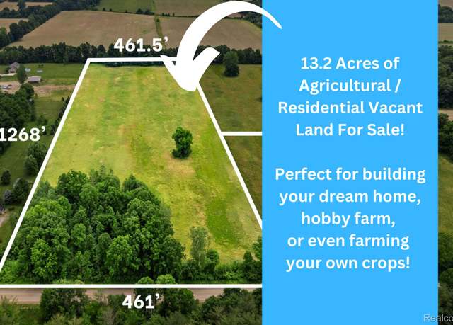 Property at V/L Hough Rd. Hough Rd, Almont Township, MI 48003