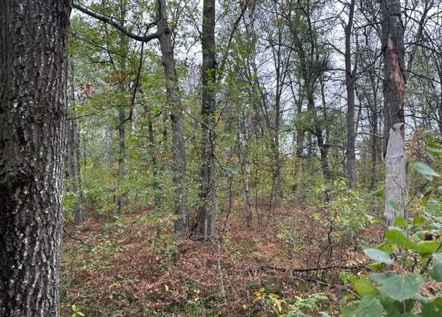 Property at 10 Acres W 6 Mile Rd, Grayling, MI 48738
