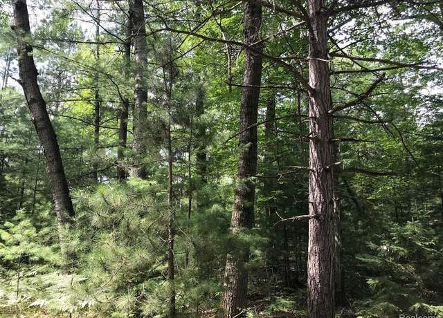 Property at 0 Racoon Trl, Lincoln, MI 48742