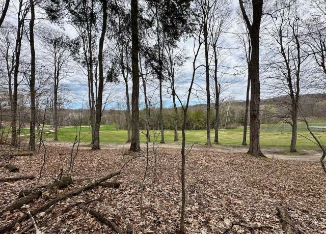Property at Unit 19 Forest Trl, Bellaire, MI 49615
