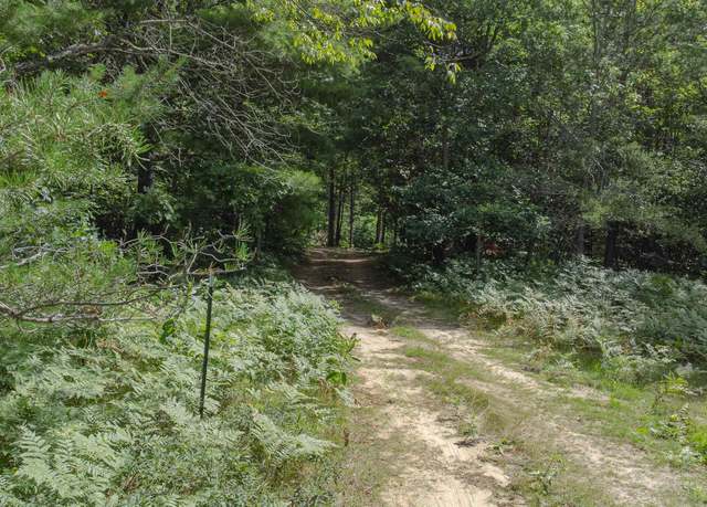 Property at Parcel F Vans Ln, Fife Lake Township, MI 49633