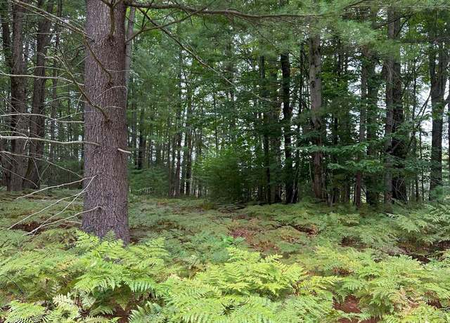 Property at 786 SE Blue Heron Dr, Kalkaska, MI 49646
