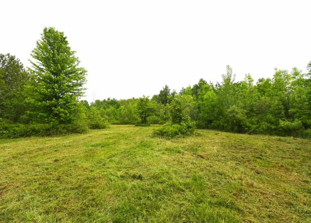 Property at 01 Alabaster Rd, Turner, MI 48765
